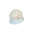 /msite/products/detail/productid/14014986/id/186332.html